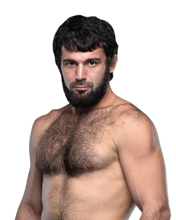 Shamil Erdogan